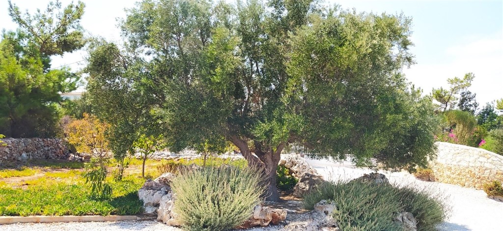 utulny-apartmanovy-dum-s-otevrenym-vyhledem-na-more-kreta-recko