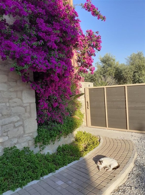 kamenny-dum-s-bazenem-a-nadhernym-vyhledem-do-okoli-kreta-recko