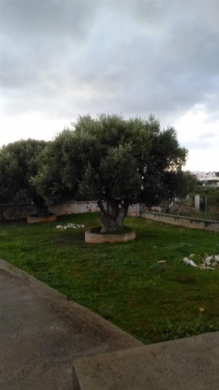 moderni-rodinna-vila-nedaleko-chanie-kreta-recko