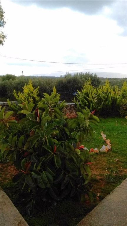 moderni-rodinna-vila-nedaleko-chanie-kreta-recko