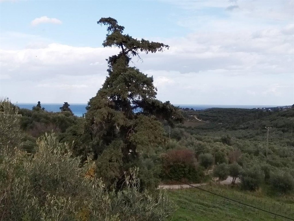 kamenny-dum-s-vyhledem-na-hory-a-blizko-more-kreta-recko