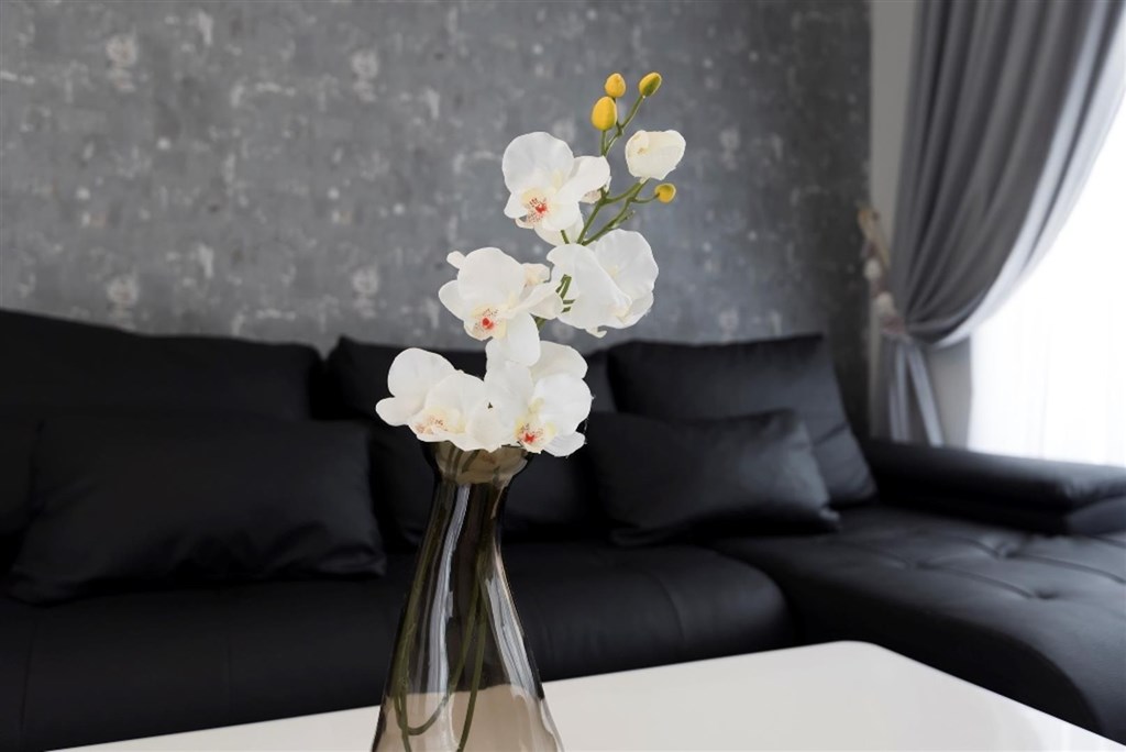 velky-moderni-apartman-v-1-rade-u-more-primorsko-bulharsko