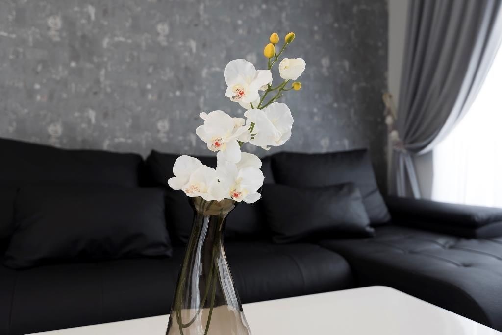 luxusni-apartman-v-1-rade-u-more-primorsko-bulharsko