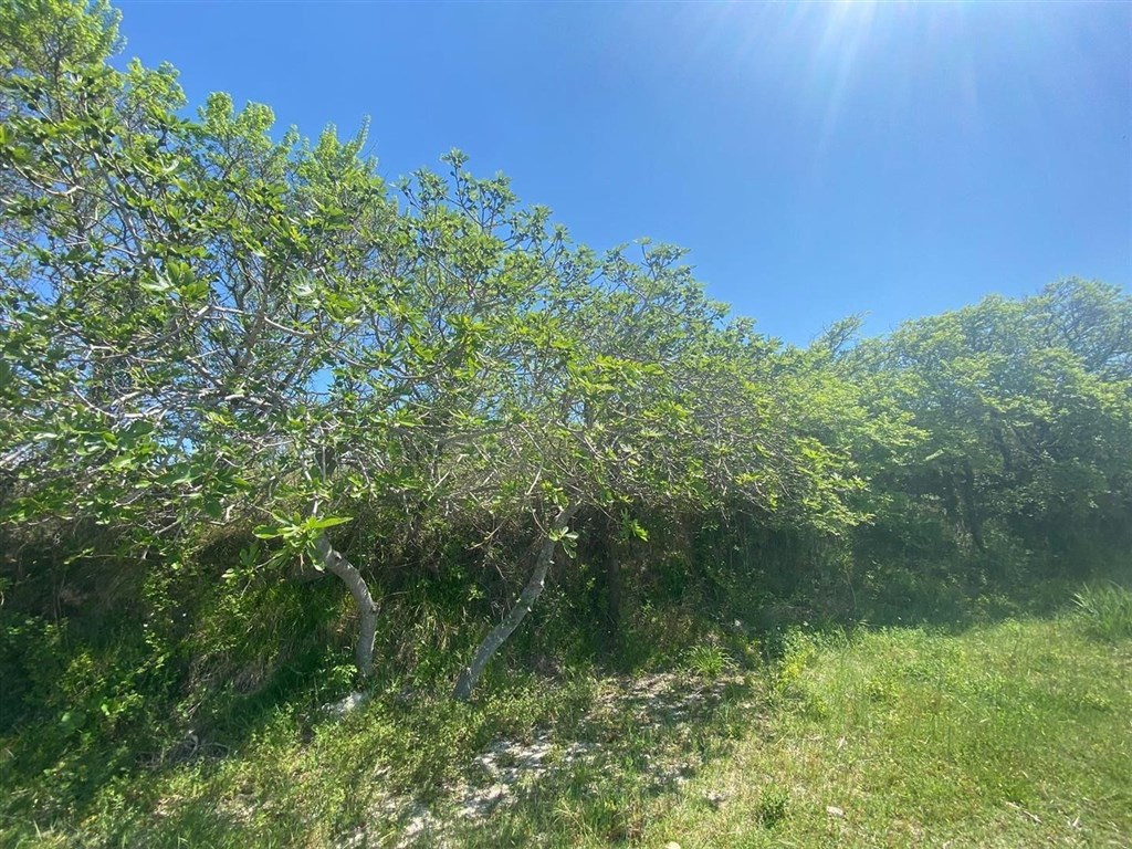 stavebni-pozemek-v-1-rade-u-more-rtina-chorvatsko