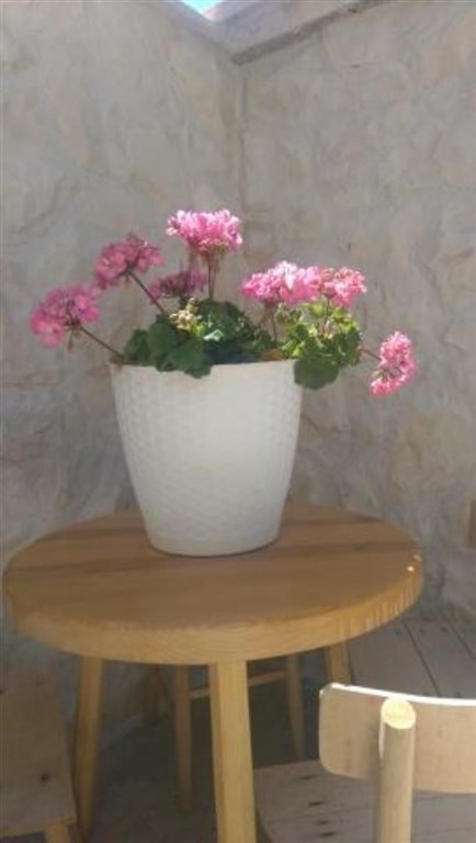 atraktivni-apartmanovy-dum-blizko-more-privlaka-chorvatsko