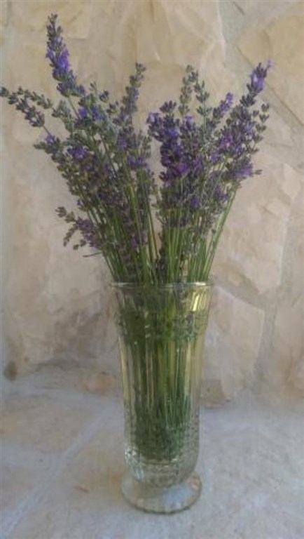 atraktivni-apartmanovy-dum-blizko-more-privlaka-chorvatsko