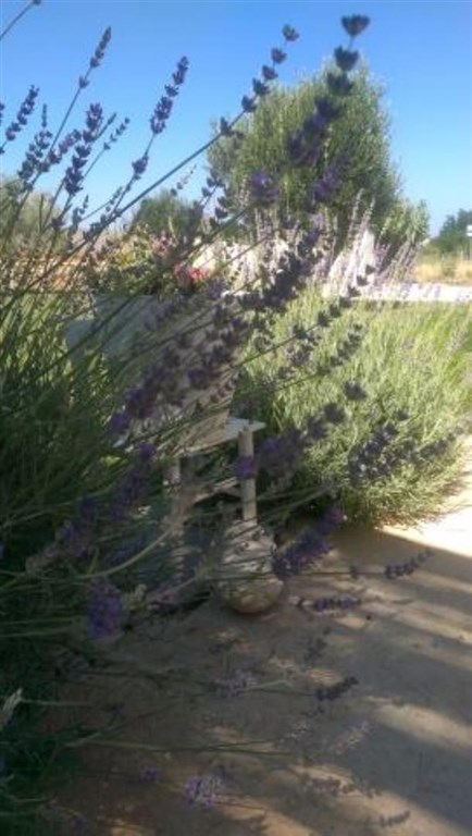 atraktivni-apartmanovy-dum-blizko-more-privlaka-chorvatsko