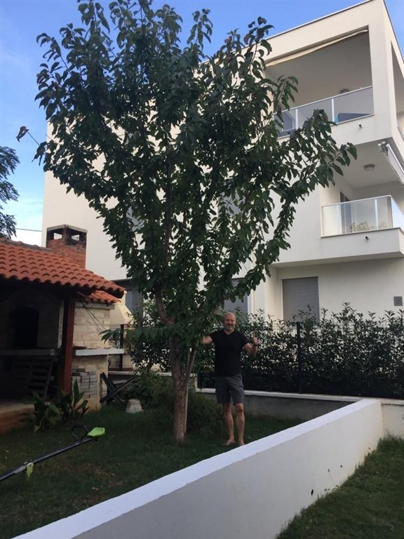 na-prodej-apartmanovy-dum-s-vyhledem-na-more-petrcane-chorvatsko