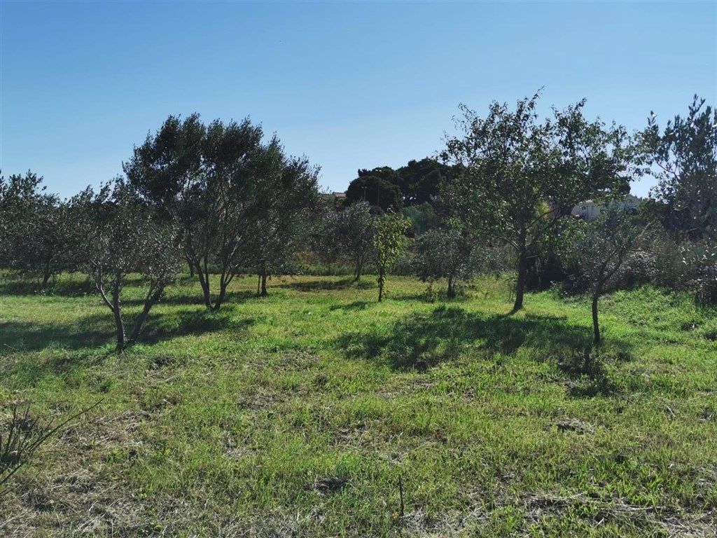 na-prodej-stavebni-pozemek-pobliz-more-pasman-chorvatsko