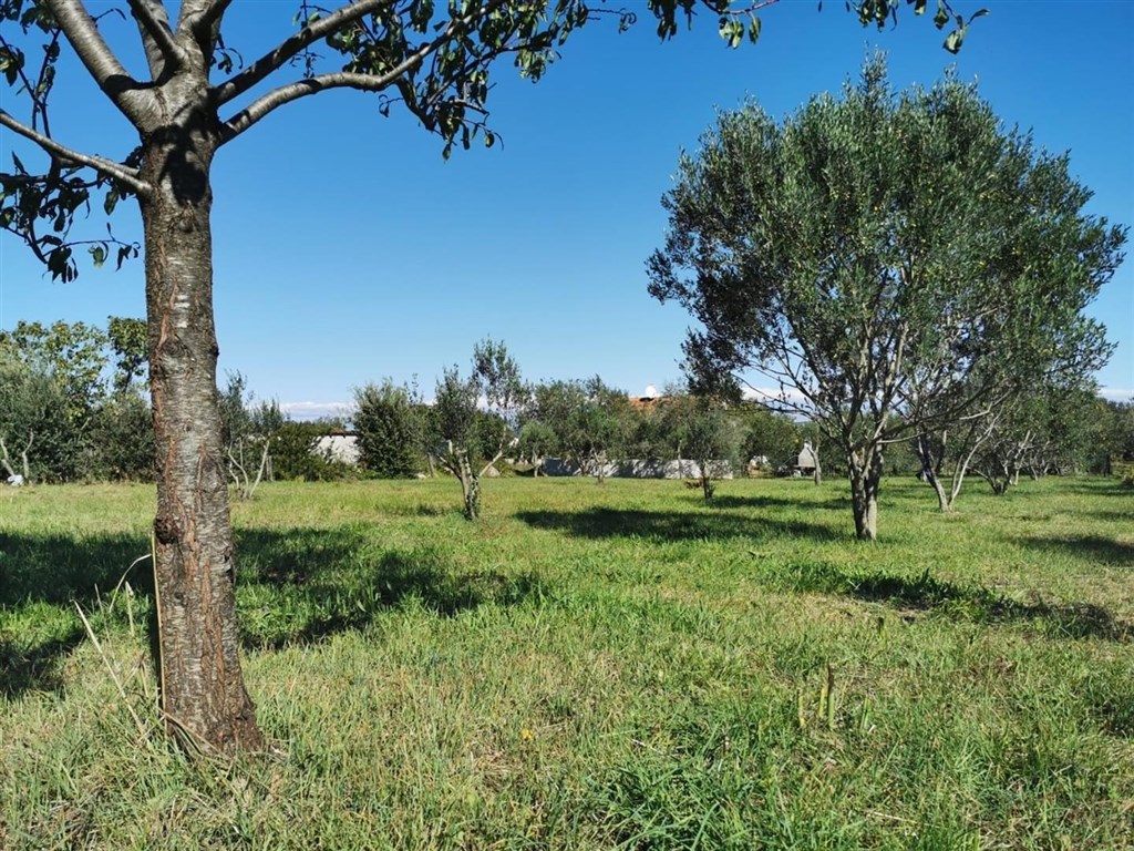 na-prodej-stavebni-pozemek-pobliz-more-pasman-chorvatsko