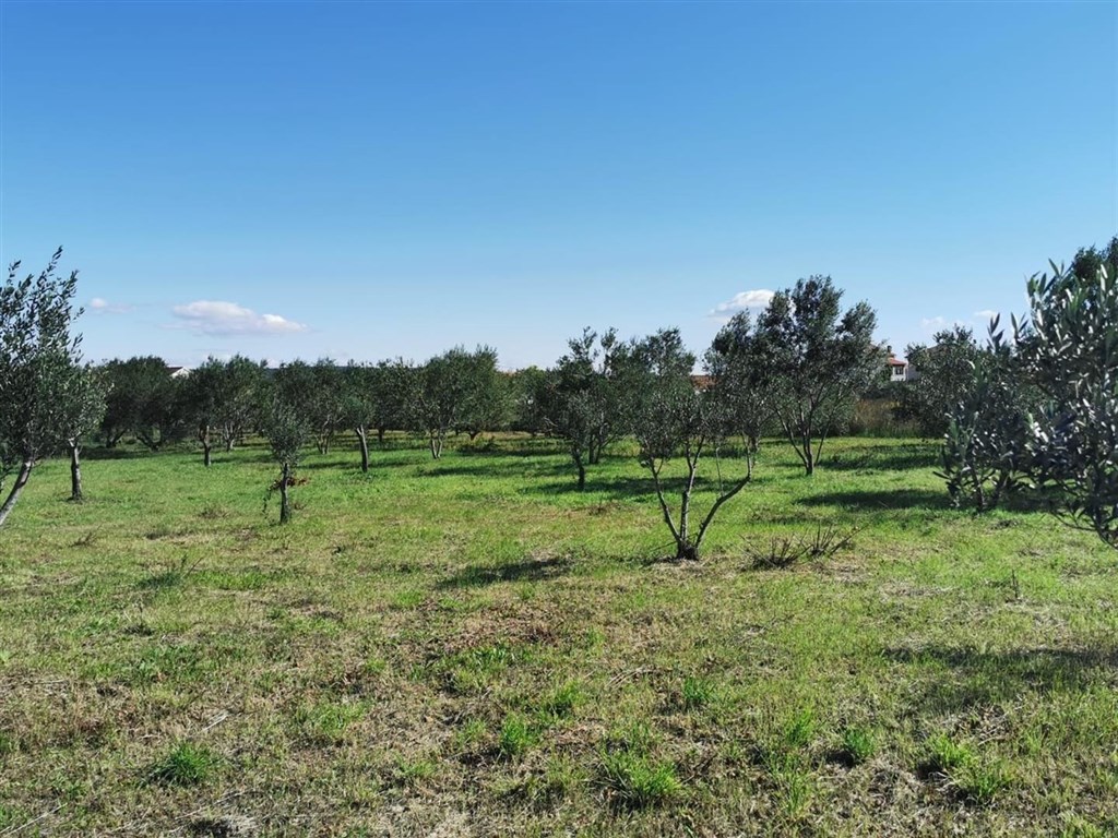 na-prodej-stavebni-pozemek-pobliz-more-pasman-chorvatsko