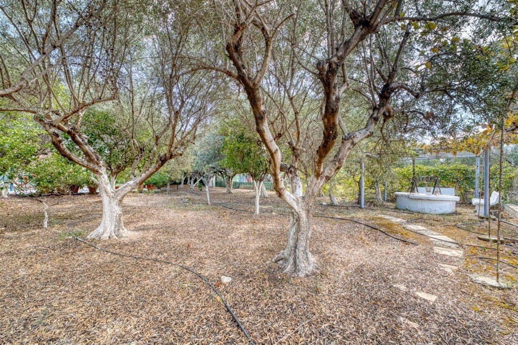 na-prodej-svetla-vila-jen-par-kroku-od-plaze-kalyves-oblast-chania-kreta-recko