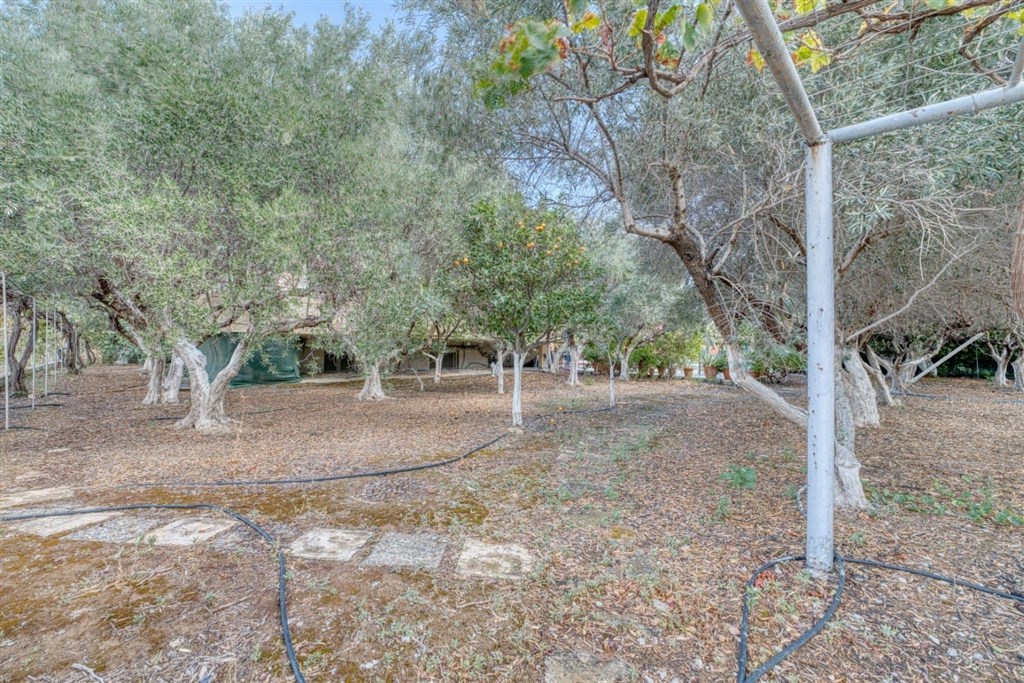 na-prodej-svetla-vila-jen-par-kroku-od-plaze-kalyves-oblast-chania-kreta-recko