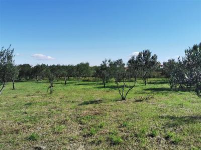 Na prodej stavební pozemek poblíž moře, Pašman, Chorvatsko